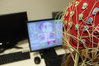 Die Abteilung Kognition, Emotion und Verhalten sucht studentische Hilfskräfte (m,w,d) -  Infos unter https://tinyurl.com/HIWIceb
