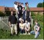 Team 2011