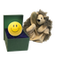 NormsInt4_picture